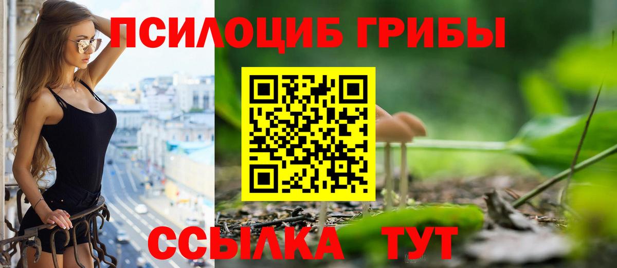 Волоколамск  Галлюциногенные грибы прущие грибы  Вход с VPN 